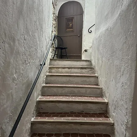 - Suquet Forville