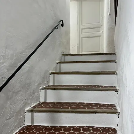 - Suquet Forville Cannes